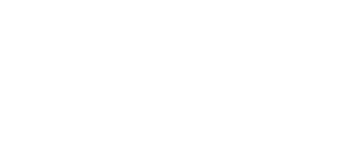 Minerva Foods